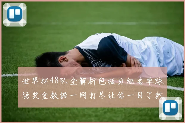 世界杯48队全解析包括分组名单球场奖金数据一网打尽让你一目了然